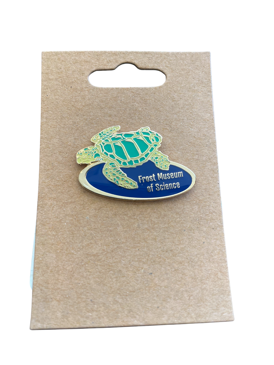 Sea Turtle Pin Science Store