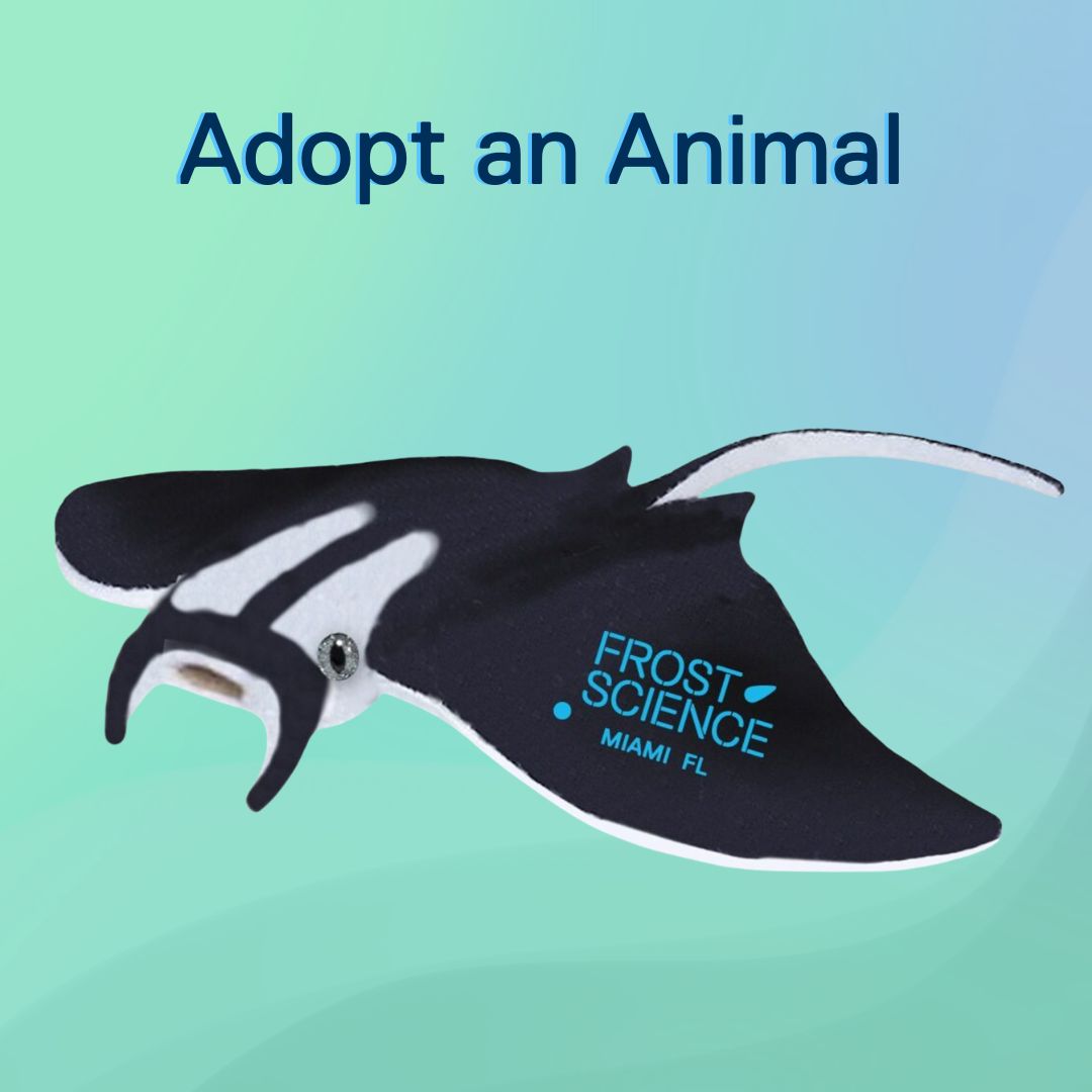 Adopt an Animal – Science Store