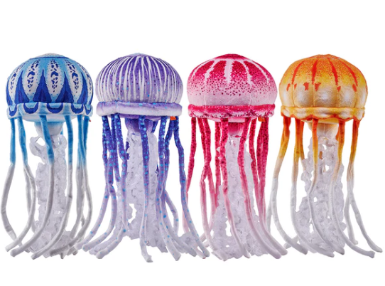 Assorted Jelly Fish