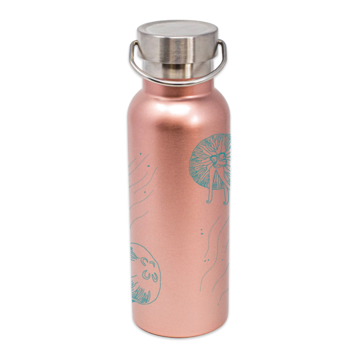 Frost Science Water Bottle – Science Store